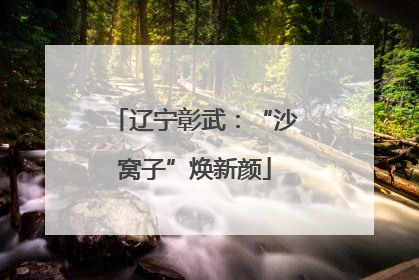 辽宁彰武：“沙窝子”焕新颜