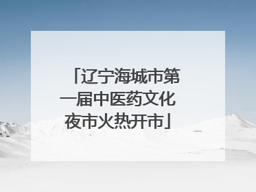辽宁海城市第一届中医药文化夜市火热开市