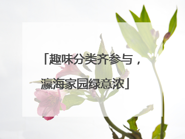 趣味分类齐参与，瀛海家园绿意浓