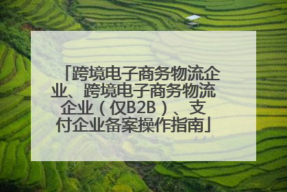 跨境电子商务物流企业、跨境电子商务物流企业（仅B2B）、支付企业备案操作指南