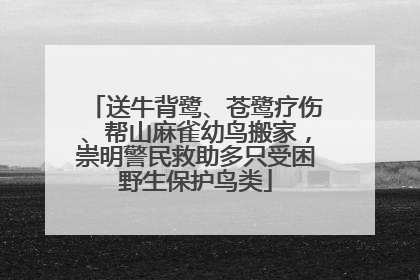 送牛背鹭、苍鹭疗伤、帮山麻雀幼鸟搬家，崇明警民救助多只受困野生保护鸟类