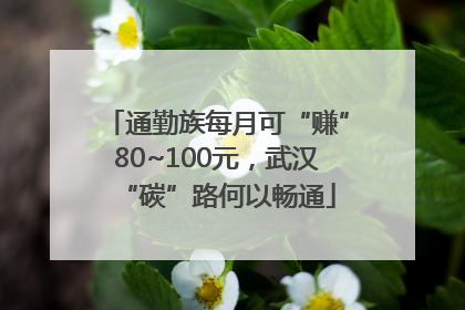 通勤族每月可“赚”80~100元，武汉“碳”路何以畅通