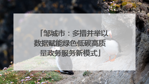 邹城市：多措并举以数据赋能绿色低碳高质量政务服务新模式