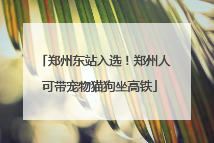 郑州东站入选！郑州人可带宠物猫狗坐高铁