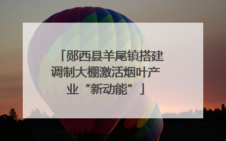 郧西县羊尾镇搭建调制大棚激活烟叶产业“新动能”