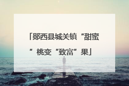 郧西县城关镇“甜蜜”桃变“致富”果
