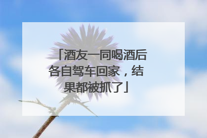 酒友一同喝酒后各自驾车回家，结果都被抓了