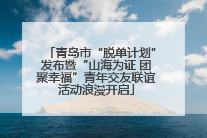 青岛市“脱单计划”发布暨“山海为证 团聚幸福”青年交友联谊活动浪漫开启