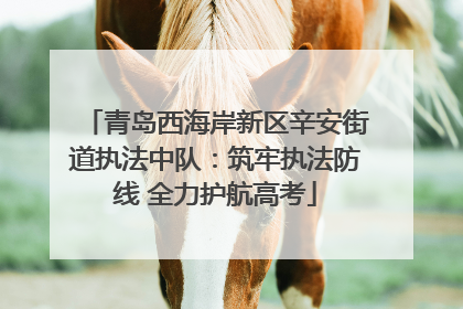 青岛西海岸新区辛安街道执法中队：筑牢执法防线 全力护航高考