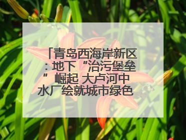 青岛西海岸新区：地下“治污堡垒”崛起 大卢河中水厂绘就城市绿色新图景