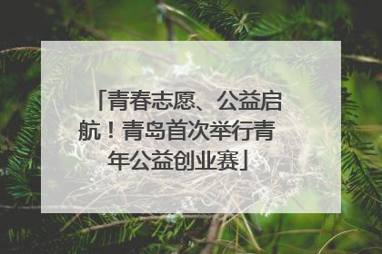 青春志愿、公益启航！青岛首次举行青年公益创业赛
