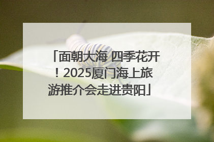 面朝大海 四季花开！2025厦门海上旅游推介会走进贵阳
