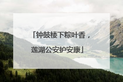钟鼓楼下粽叶香，莲湖公安护安康