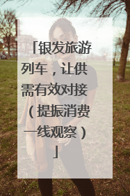 银发旅游列车，让供需有效对接（提振消费一线观察）