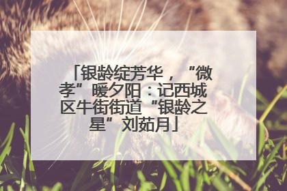 银龄绽芳华，“微孝”暖夕阳：记西城区牛街街道“银龄之星”刘茹月