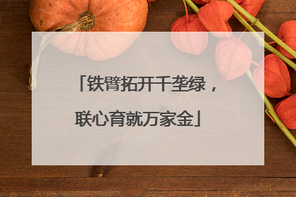 铁臂拓开千垄绿，联心育就万家金