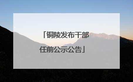 铜陵发布干部任前公示公告
