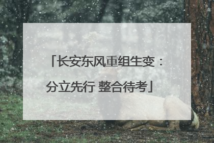 长安东风重组生变：分立先行 整合待考