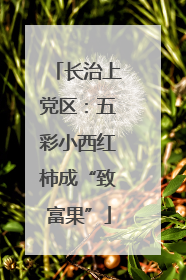 长治上党区：五彩小西红柿成“致富果”