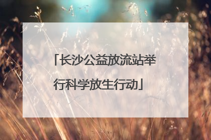 长沙公益放流站举行科学放生行动