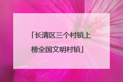 长清区三个村镇上榜全国文明村镇