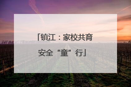镇江：家校共育 安全“童”行