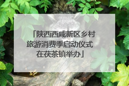 陕西西咸新区乡村旅游消费季启动仪式在茯茶镇举办