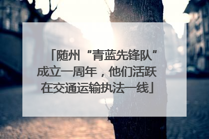 随州“青蓝先锋队”成立一周年，他们活跃在交通运输执法一线