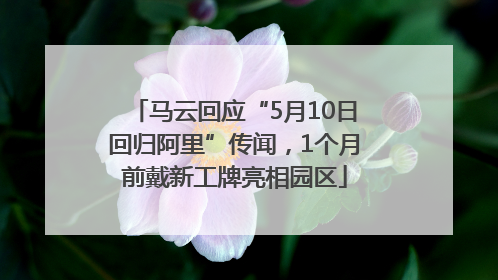 马云回应“5月10日回归阿里”传闻，1个月前戴新工牌亮相园区