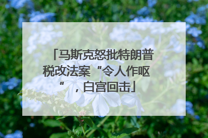 马斯克怒批特朗普税改法案“令人作呕”，白宫回击