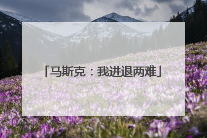 马斯克：我进退两难