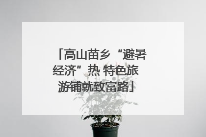 高山苗乡“避暑经济”热 特色旅游铺就致富路