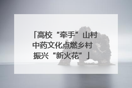 高校“牵手”山村 中药文化点燃乡村振兴“新火花”