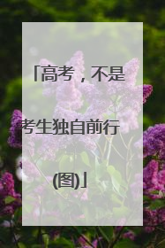 高考，不是考生独自前行(图)