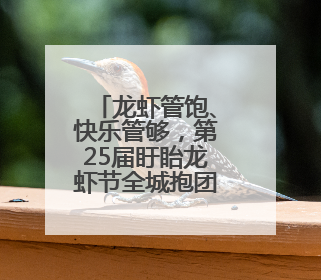 龙虾管饱、快乐管够，第25届盱眙龙虾节全城抱团宠客