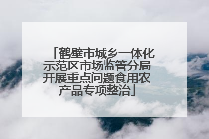 鹤壁市城乡一体化示范区市场监管分局开展重点问题食用农产品专项整治