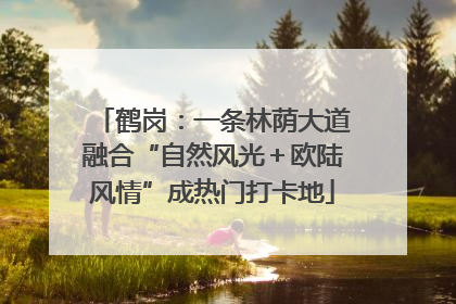鹤岗：一条林荫大道融合“自然风光＋欧陆风情”成热门打卡地