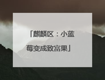 麒麟区：小蓝莓变成致富果