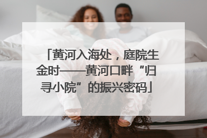 黄河入海处，庭院生金时——黄河口畔“归寻小院”的振兴密码