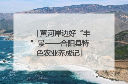 黄河岸边好“丰”景——合阳县特色农业养成记