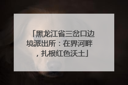 黑龙江省三岔口边境派出所：在界河畔，扎根红色沃土
