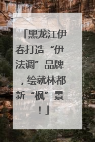 黑龙江伊春打造“伊法调”品牌，绘就林都新“枫”景！