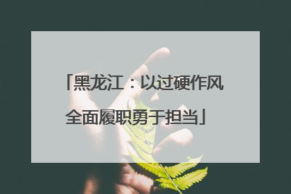 黑龙江：以过硬作风全面履职勇于担当