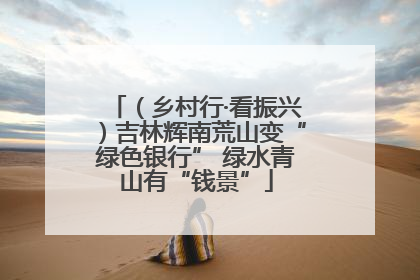 （乡村行·看振兴）吉林辉南荒山变“绿色银行” 绿水青山有“钱景”
