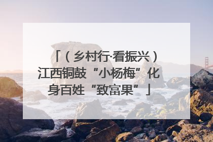 （乡村行·看振兴）江西铜鼓“小杨梅”化身百姓“致富果”