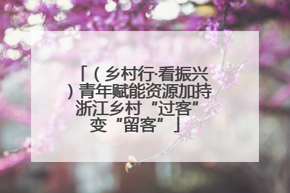（乡村行·看振兴）青年赋能资源加持 浙江乡村“过客”变“留客”