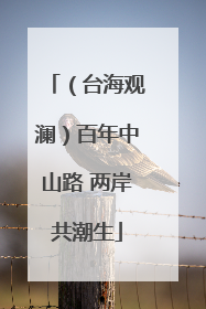 （台海观澜）百年中山路 两岸共潮生