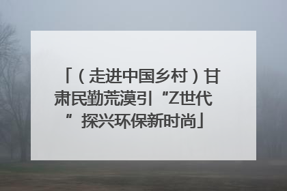 （走进中国乡村）甘肃民勤荒漠引“Z世代”探兴环保新时尚