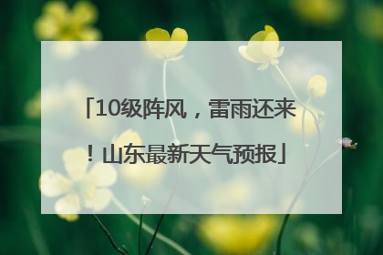 10级阵风，雷雨还来！山东最新天气预报