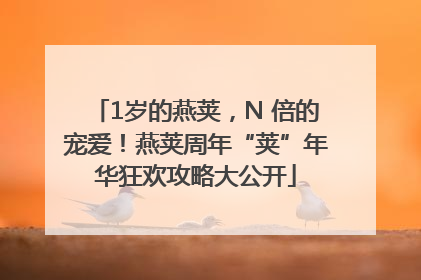 1岁的燕荚，N 倍的宠爱！燕荚周年“荚”年华狂欢攻略大公开
